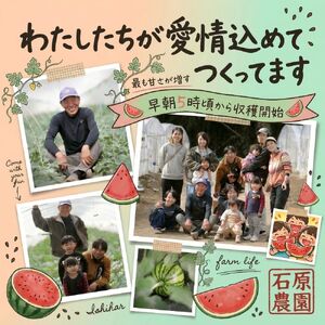 小玉 スイカ （ 赤色 ）2玉 熊本県和水町産 【2026年（令和8年）4月中旬頃から順次出荷予定】  すいか 西瓜