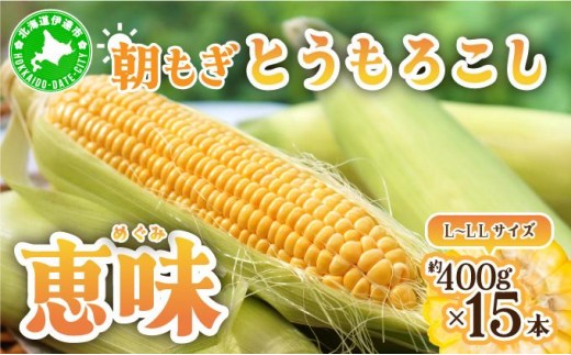 
                  ＜2026年先行予約＞北海道産 朝もぎ とうもろこし 恵味 L-LLサイズ 約400g×15本 スイートコーン ゴールドコーン トウモロコシ とうきび コーン 旬 完熟 野菜 甘い おやつ 産地直送 お取り寄せ 北海道 送料無料 伊達 55250481
                