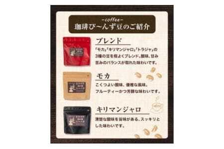 自家焙煎 珈琲粉 こだわりセット 合計3袋 400g 珈琲び～んず 《30日以内に出荷予定(土日祝除く)》