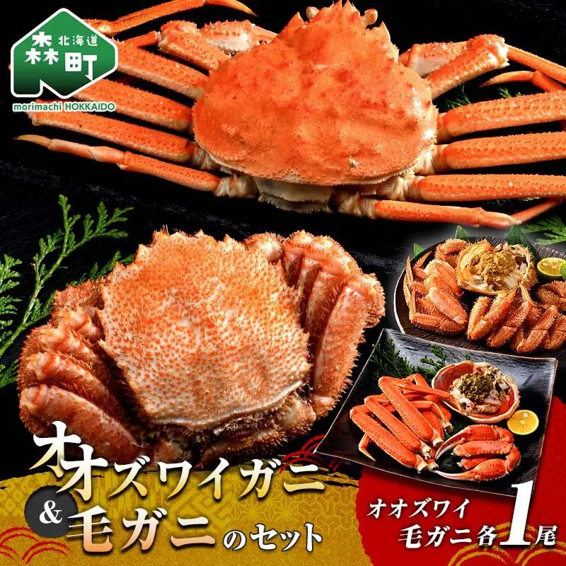 オオズワイガニ毛がに2尾セット オオズワイガニ1尾(300～350g前後) 毛がに1尾(約350g) ＜海鮮問屋　株式会社　瑞宝＞ かに カニ 蟹 ガニ がに 海鮮 森町 北海道 mr1-1304