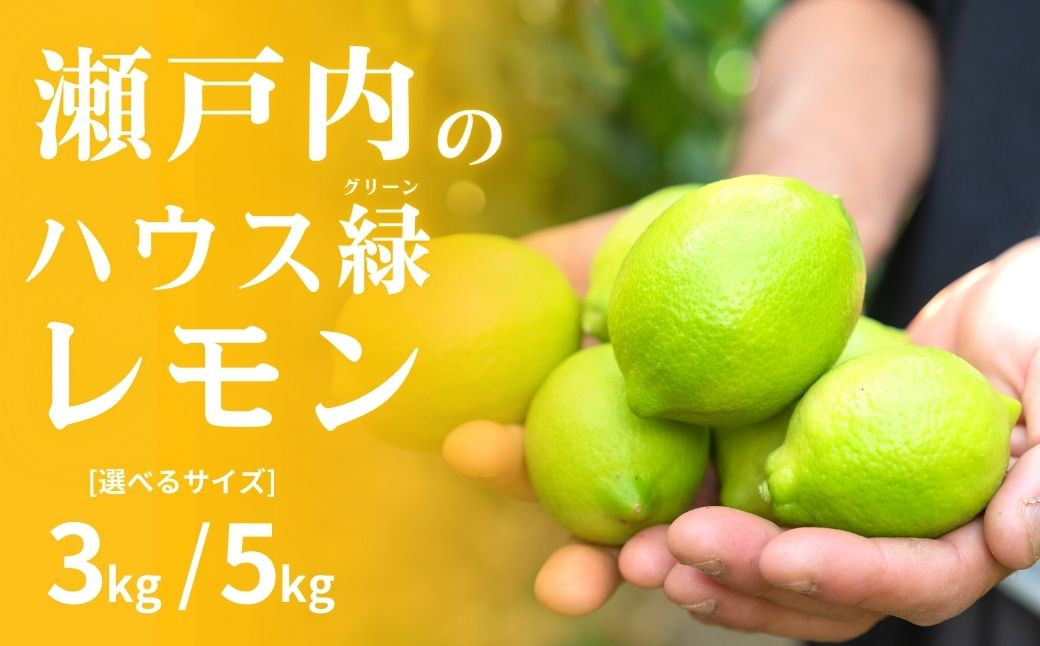 
            [予約] 8〜9月発送 瀬戸内のハウスグリーンレモン3㎏/5kg 選べるサイズ 皮まで丸ごと食べられる ワックス不使用 防腐剤不使用 安心 広島 大崎上島 せとうち 檸檬 柑橘 ギフト 贈答 ビタミンC クエン酸
          