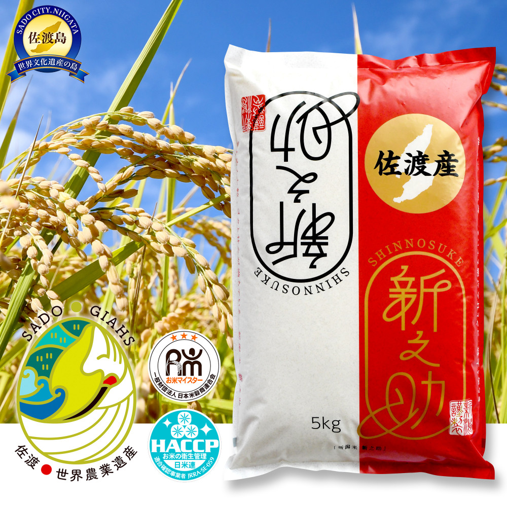 新潟県佐渡市産 新之助 精米 5kg【令和7年米】