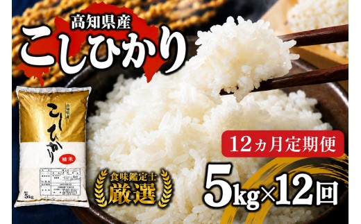 令和8年産 新米 コシヒカリ 定期便 5kg 12回 8月中旬発送開始 農家直送 高知県産 清流 新荘川流域 清流育ち 早場米 白米 精米 お米 おこめ ご飯 ごはん おにぎり こめ 食味鑑定士 国産 産地直送 高知県 須崎市