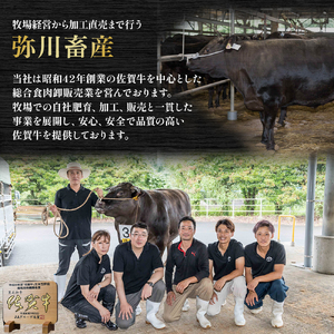 O176x1 佐賀牛 カルビ焼肉 260g カルビ 焼肉 霜降り ギフト 贈答 国産牛 和牛 ブランド牛 牛肉 肉 高級 人気 おすすめ 佐賀県 太良町