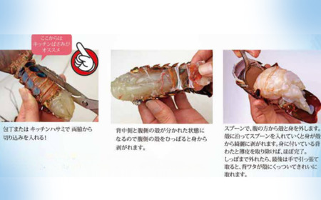 【 伊勢海老 】 活き〆冷凍伊勢海老 2kg