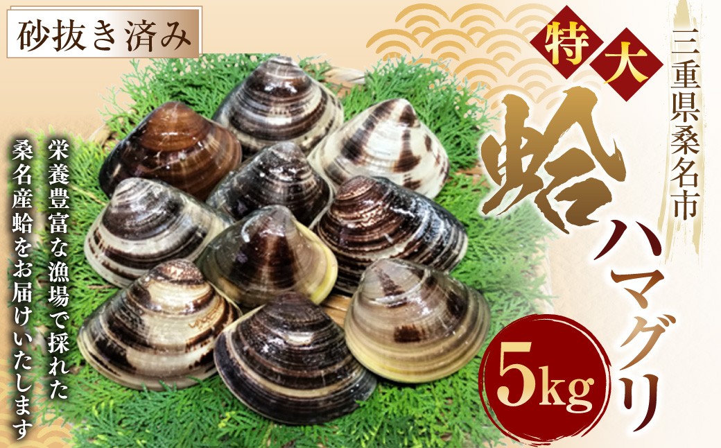 【指定日必須】【7月・8月発送不可】【特大】 丸元水産 桑名産蛤（ハマグリ） 5.0kg はまぐり 蛤 天然蛤 砂出し済  023-0034