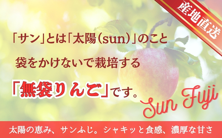 【2025年先行予約】りんご サンふじ 約5kg｜りんご
