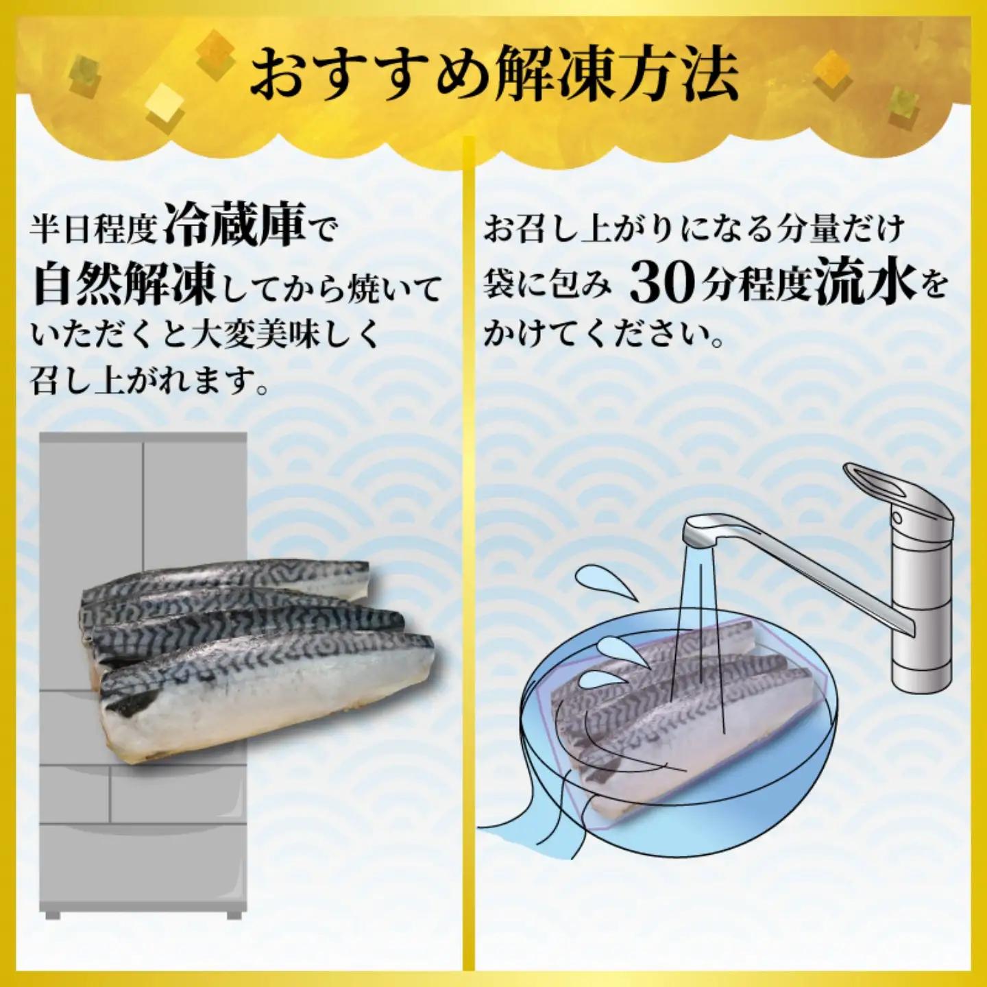 訳あり 塩鯖 3㎏ 鯖