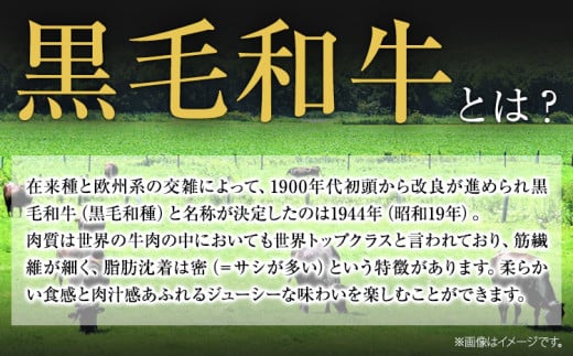 くまもと黒毛和牛 リブロースステーキ 500g 牛肉 冷凍 《30日以内に出荷予定(土日祝除く)》 くまもと黒毛和牛 黒毛和牛 冷凍庫 個別 取分け 小分け 個包装 ステーキ肉 にも リブロースステー
