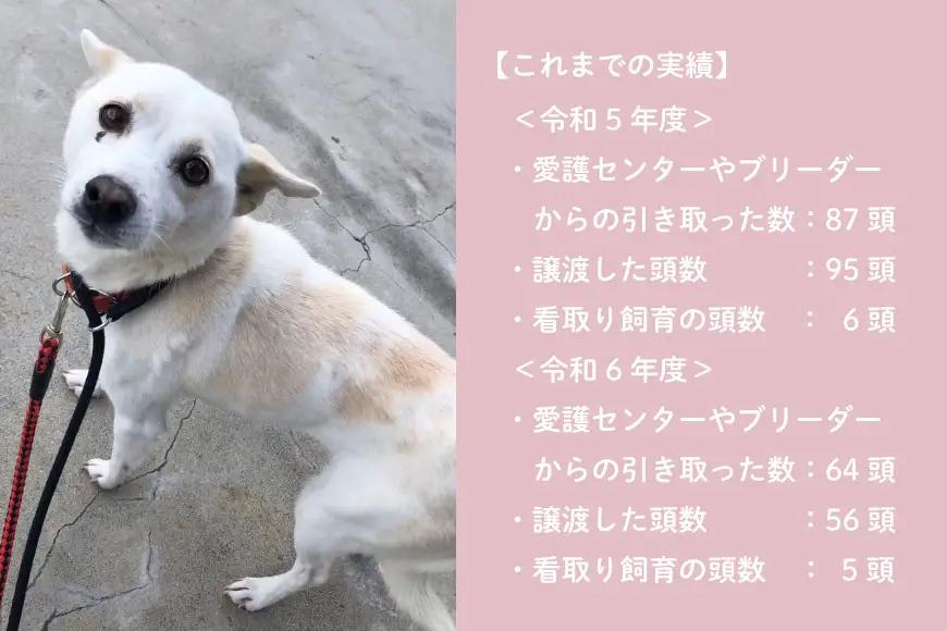 犬猫保護活動への支援 10万円