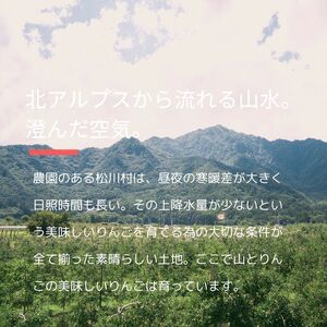 2024年先行予約 安曇野 松川村産サンふじ 訳あり家庭用約10kg