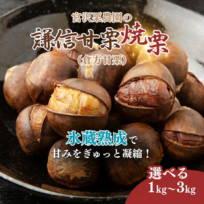 【ふるさと納税】栗 焼き栗 謙信甘栗の氷蔵熟成栗 1kg 2kg 3kg 1キロ 2キロ 3キロ 新潟県 上越市産 甘栗 やきぐり スイーツ おやつ くり 秋の味覚 送料無料　お届け：2025年10月20日～2025年12月15日