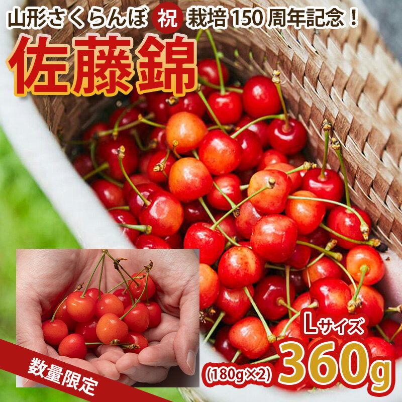 【ふるさと納税】山形さくらんぼ (祝)栽培150周年記念！佐藤錦 360g L玉 数量限定！【令和8年産先行予約】FS25-061