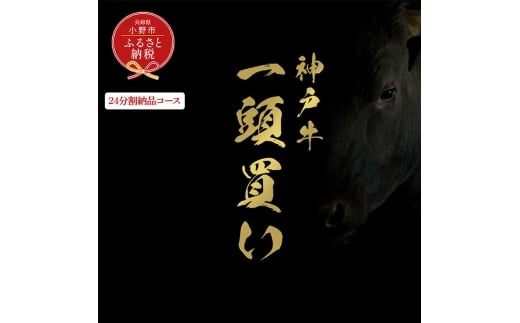 【和牛セレブ】神戸牛一頭分のセレブ体験（24分割納品コース）/ 神戸ビーフ BBQ 牛肉 冷凍 ブランド牛 兵庫県 小野市