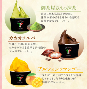 パティシエ　セレクション　ジェラート6個セット