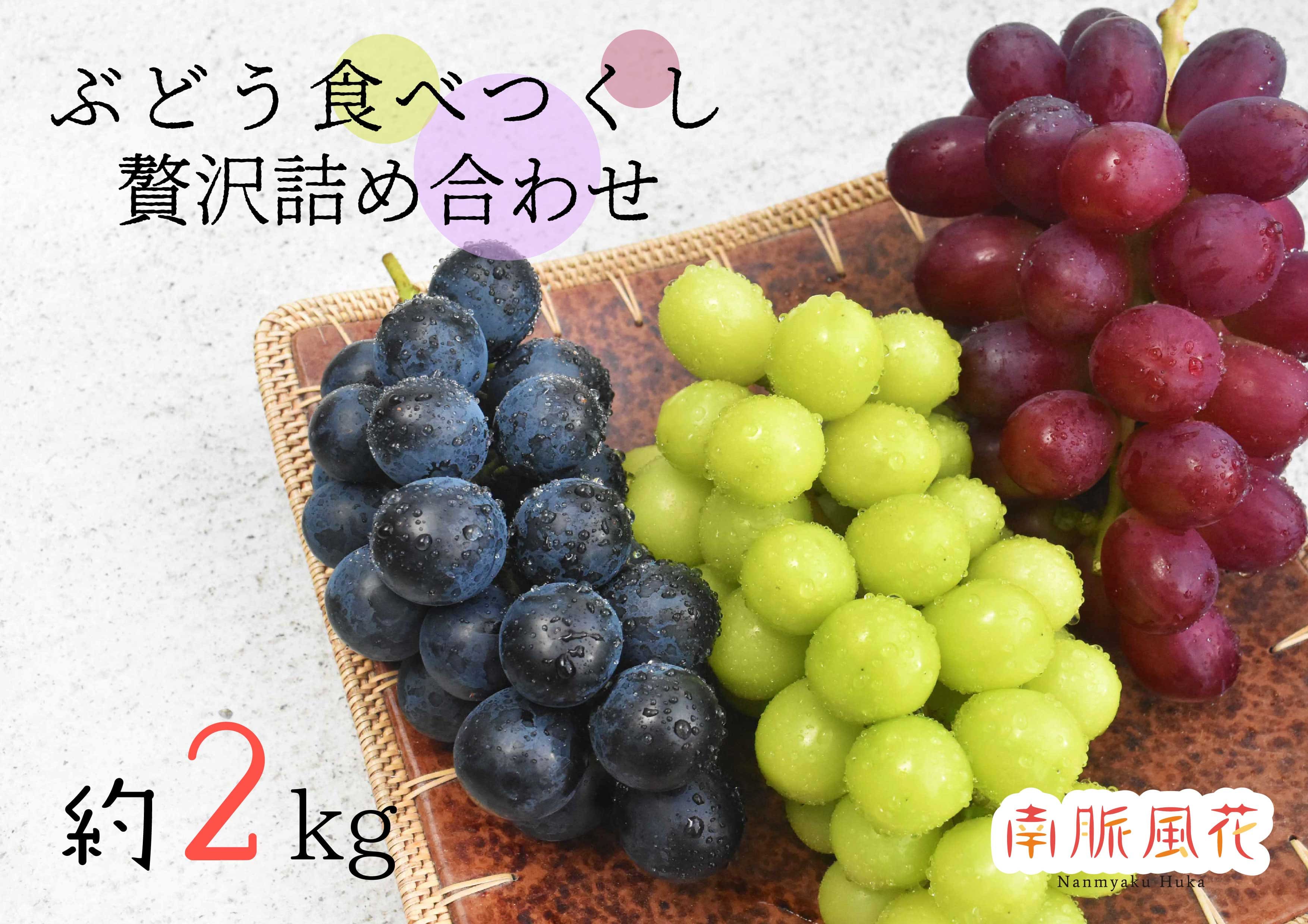 【ふるさと納税】＜2026年発送分先行予約＞皮ごと食べられる希少ぶどう3色特別詰め合わせ　約2kg　ALPAJ009