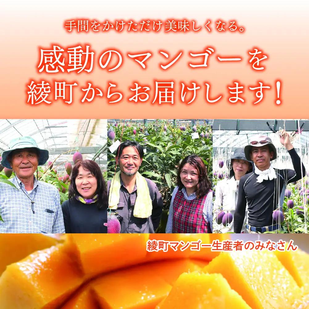 完熟マンゴー『太陽のタマゴ』３玉（約１kg）【JA綾町】_A0114-1011