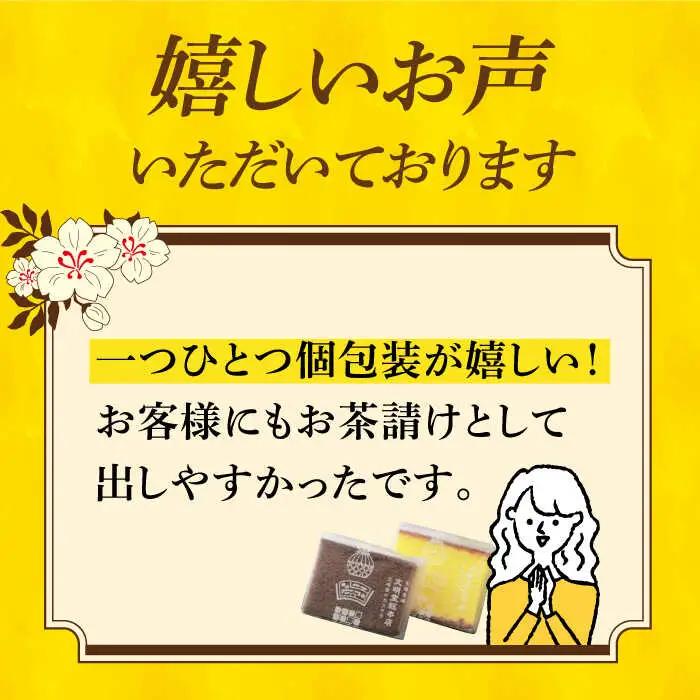 【12回定期便】 カステラ 2種 プレーン/チョコレート  [DBF018] カステラ