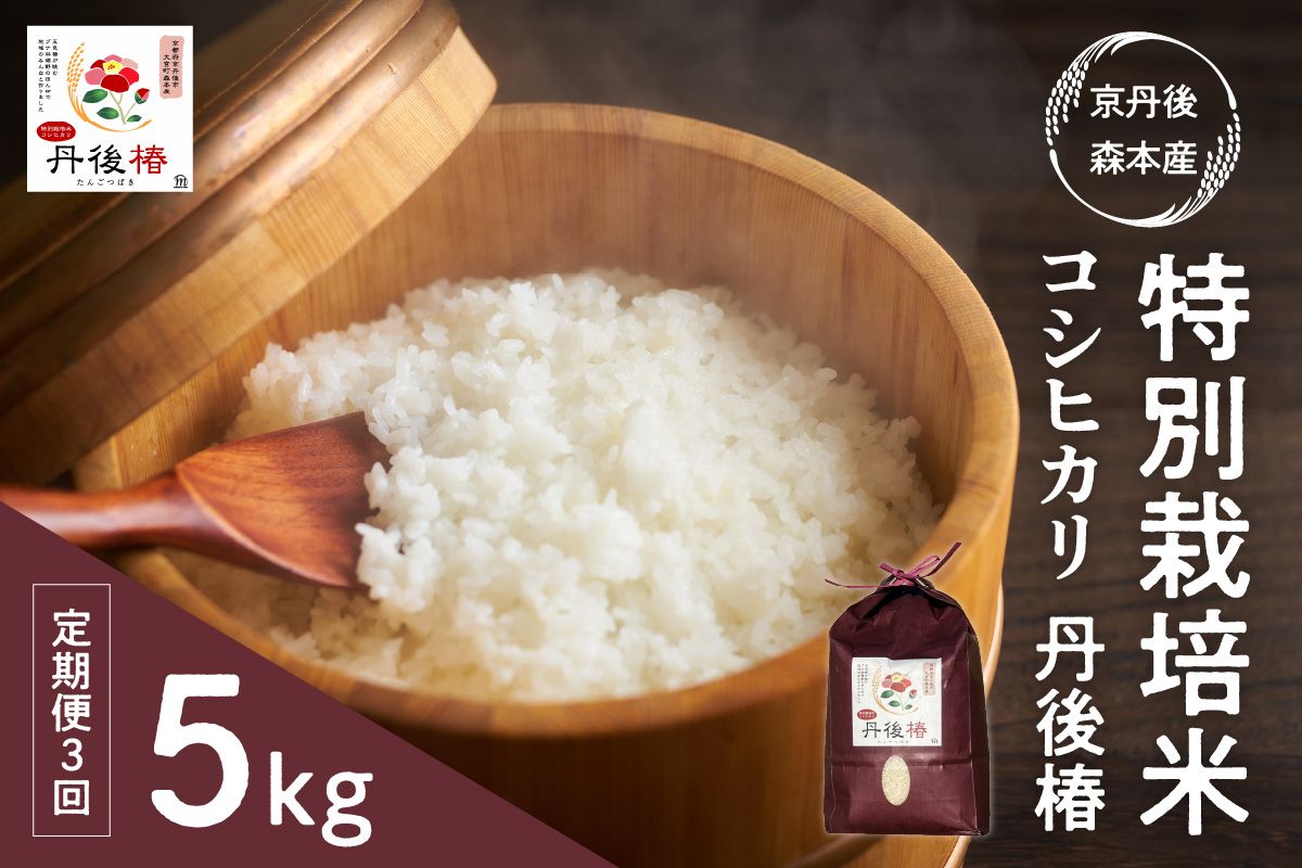 令和8年産 特別栽培米コシヒカリ 丹後椿（京丹後森本産） 5kg【定期便3回】　AG00026