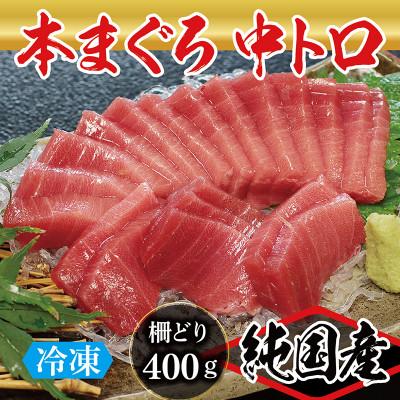 ふるさと納税 越前市 本まぐろ 中トロ 400g(柵どり)