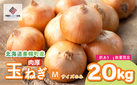 令和8年産 先行受付 数量限定訳あり品 玉ねぎ Mサイズ・20kg（2026年10月上旬より発送） AF063 | 玉ねぎ