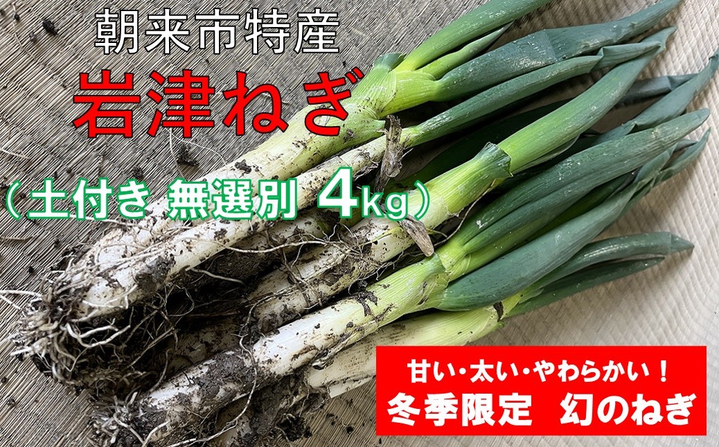 
            【先行予約】朝来市特産 岩津ねぎ 土付き 太さ無選別 4kg（箱入り）【AGRI CREW 株式会社】 岩津ねぎ 岩津ネギ 日本農業遺産 新鮮 国産 甘い 太い 柔らかい 香り豊か 冬季限定 幻のねぎ 天ぷら 鍋 焼きねぎ ネギ ねぎ すき焼き 朝来市 限定 TVで紹介 無選別 
          