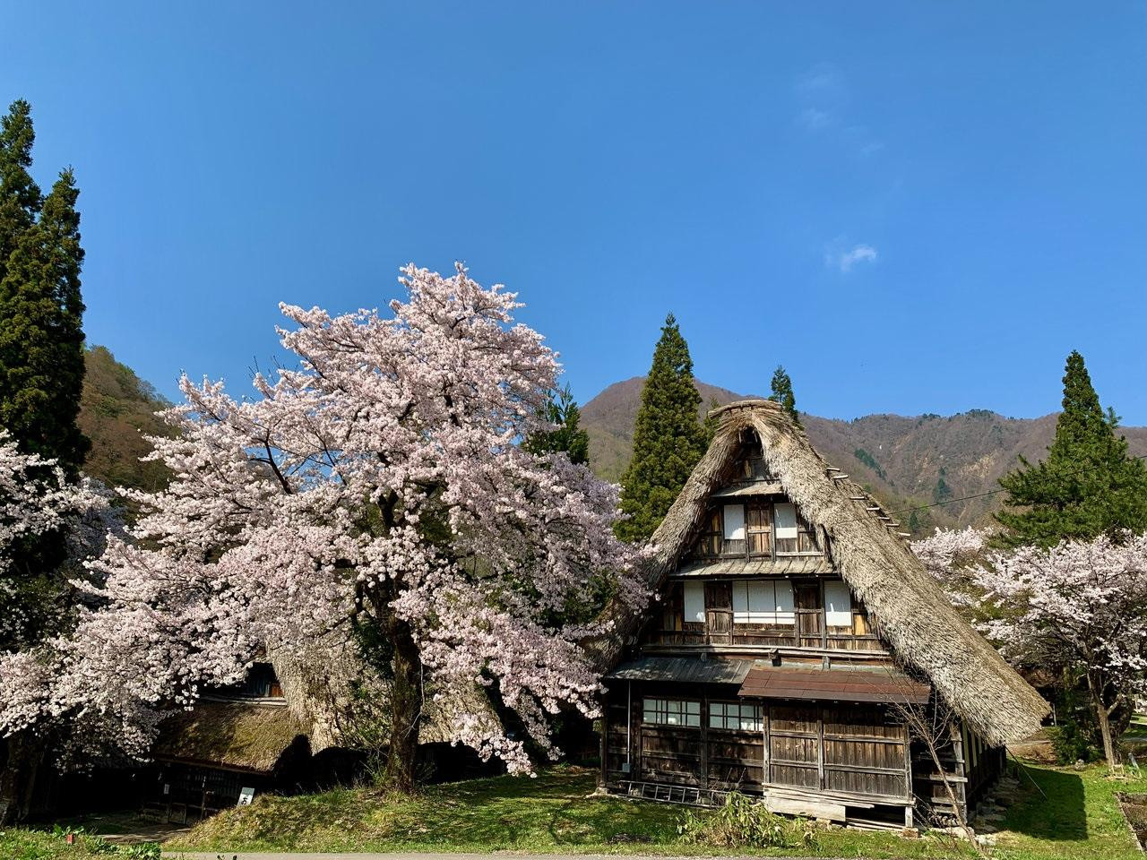 
            STAY JAPAN 1万円クーポン
          