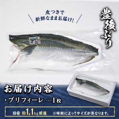 ふるさと納税 佐伯市 豊後ぶりフィーレ (計約1.1kg) |  | 01