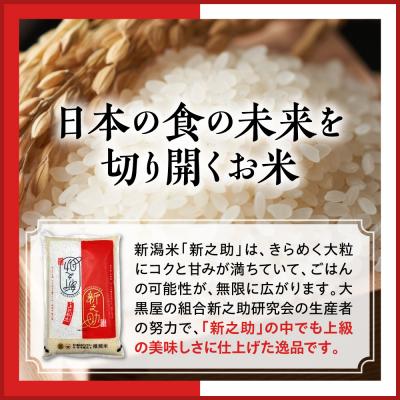 ふるさと納税 妙高市 新潟県上越妙高産 新之助 10kg【順次発送】 |  | 02