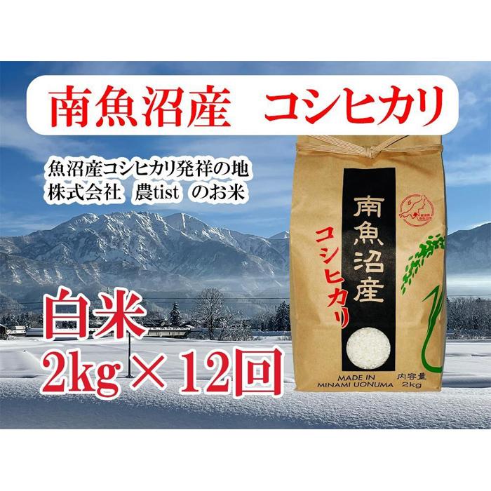 【ふるさと納税】【令和7年産】【定期便 南魚沼産】コシヒカリ 白米2kg×12回【2025年9月中旬より順次発送予定】 | お米 こめ 白米 食品 人気 おすすめ 送料無料