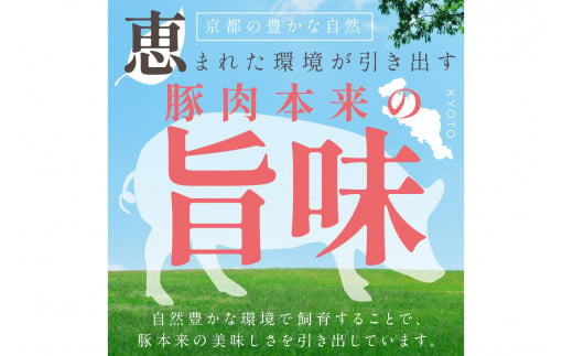 トン´sキッチン 京丹波高原豚串カツ　20本