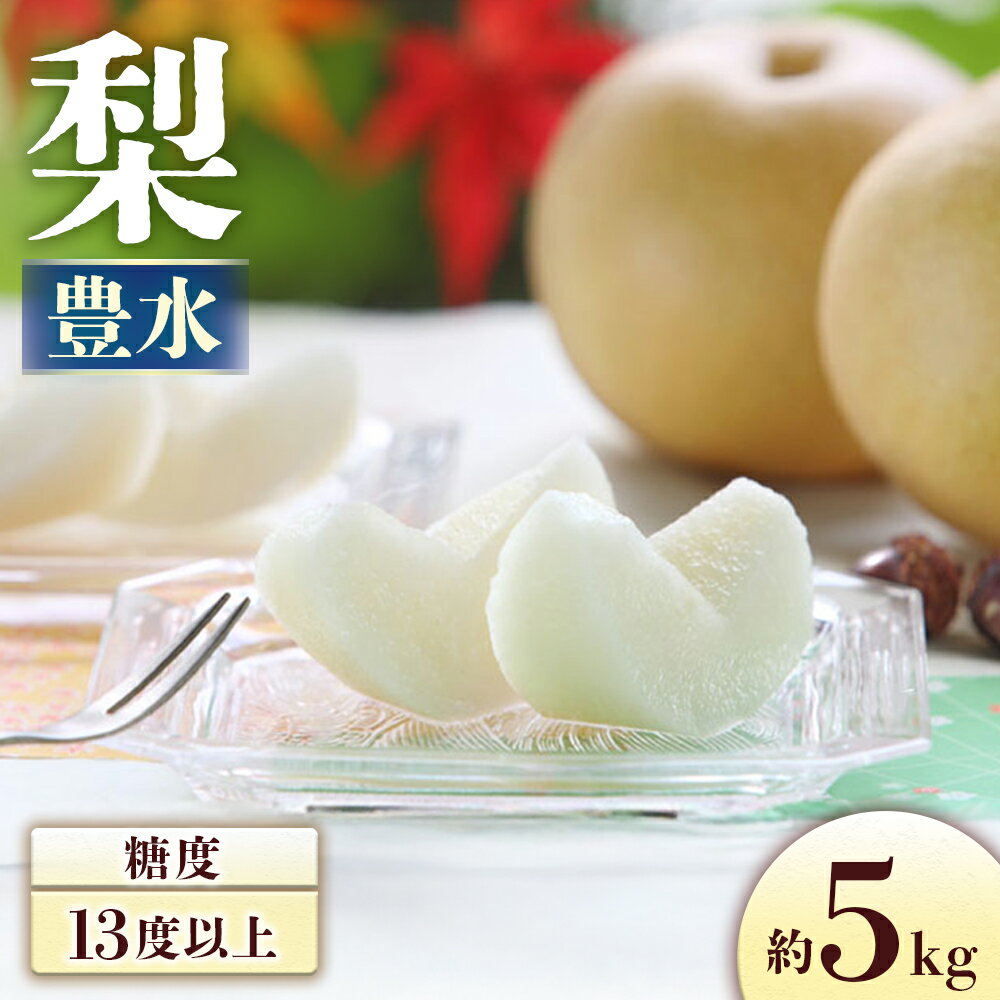 【ふるさと納税】＜先行予約＞梨 豊水 約5kg[8〜16玉]　※2025年8月下旬〜9月上旬発送※