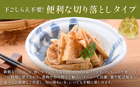【3ヶ月定期便(毎月)】訳あり たけのこ水煮 切り落としタイプ 計約4.8kg(約200g×8袋×3回) 北薩農産加工場《お申し込み翌月から出荷》鹿児島県 たけのこ 筍 水煮 使いやすい 定期便 春 