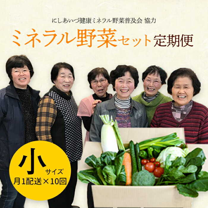【ふるさと納税】西会津ミネラル野菜セット定期便（小）10回 F4D-1406