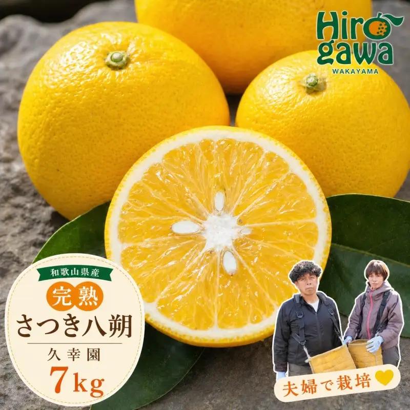 完熟 さつき 八朔 7kg / はっさく 甘い 和歌山 柑橘 ※2027年4月上旬～5月上旬頃に順次発送予定 【hsk022-r-7A】