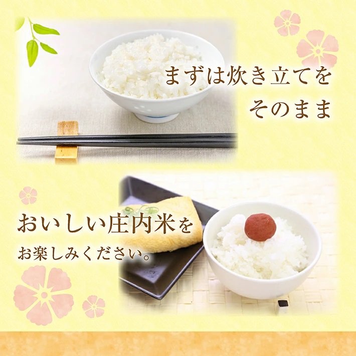 庄内産つや姫5kg（令和7年産米）4月上旬