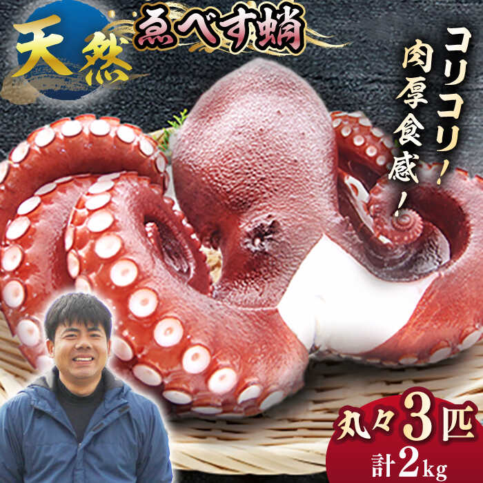 【ふるさと納税】【ボイル済みの天然タコ！】ゑべす蛸3匹（計2kg）＜大瀬戸町漁協＞[CAR008] 長崎 西海 海鮮 海の幸 天然 タコ 蛸 たこ 冷凍