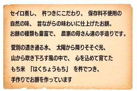 あんもち・切り餅・丸餅・しゃぶしゃぶ餅セット【E03203】