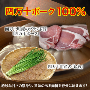 もっちもち皮にファン急増中！にら饅頭セット (計16個) ／Qak-A27 まんじゅう 国産 特産品
