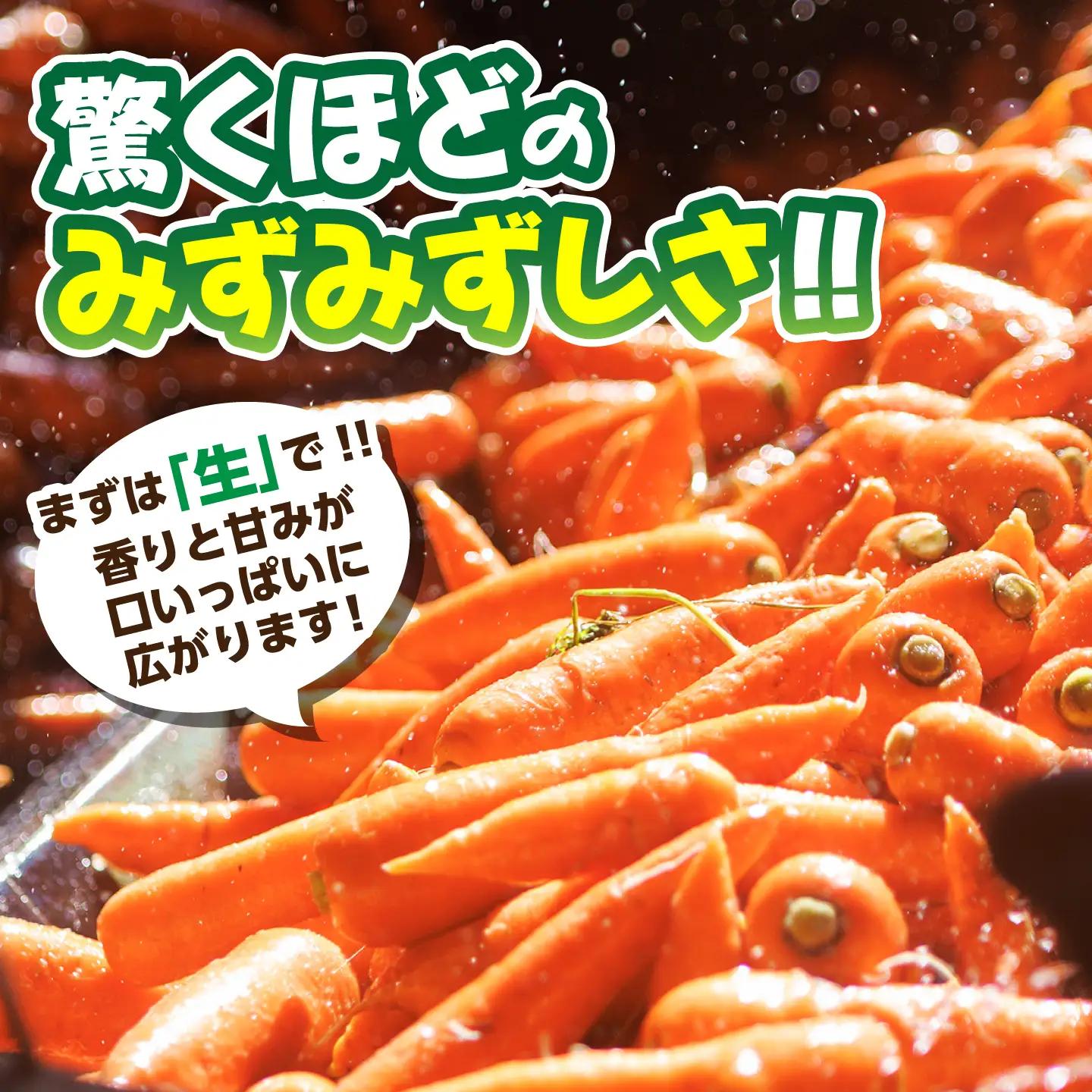 【先行予約】【11月中旬より順次発送】【訳あり】菊陽秋にんじん 約3kg  / にんじん 菊陽にんじん 西洋にんじん ニンジン 人参 野菜 熊本 菊陽 わけあり 【マツモト：ファーム】[BHDH010