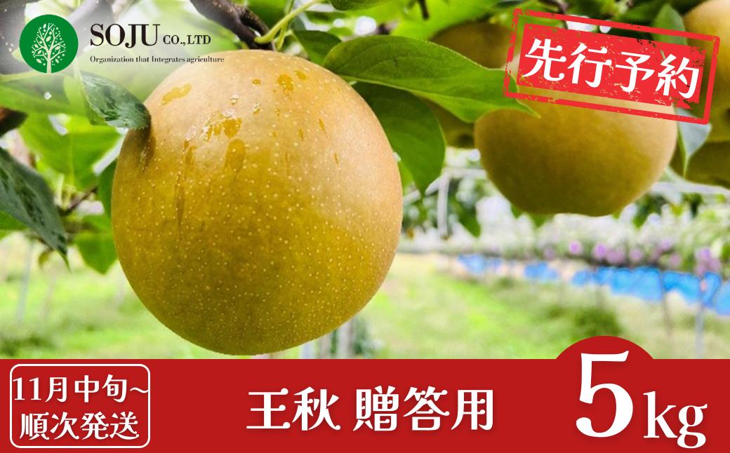 
            先行予約 和梨 王秋 約5kg [11月中旬から発送予定] 令和7年度 贈答用 新潟県 三条市産 [三条果樹専門家集団]  【016S027】
          