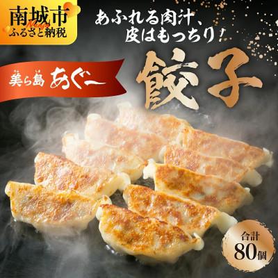 ふるさと納税 南城市 【美ら島あぐー】餃子(80個入り/4パック×20個入り)