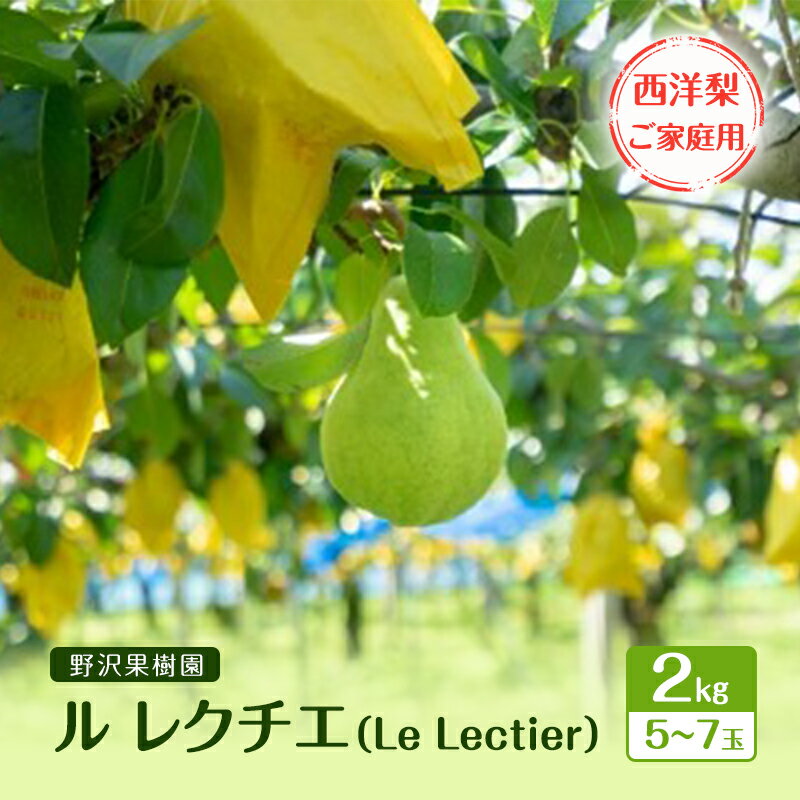 【ふるさと納税】野沢果樹園　ル レクチエ（Le Lectier）2kg 5～7玉　西洋梨　【ご家庭用】　お届け：2025年11月下旬～12月中旬