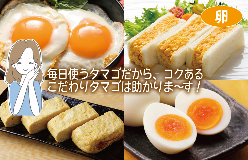 主婦が選んだ 日常使い セット（銀鮭 切り身 たまご 野菜 泉州タオル）【別送】 099S017