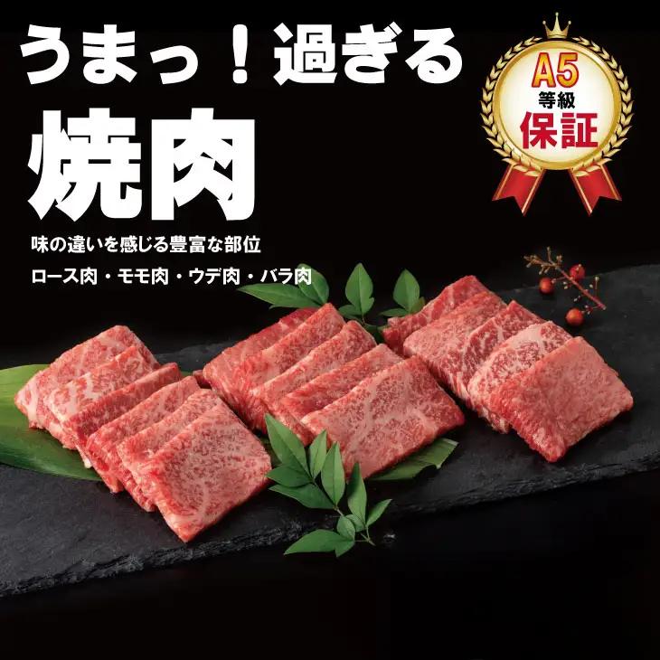 【定期便】佐賀牛 A5 焼肉・しゃぶしゃぶすき焼き 厳選部位 合計800g（400g x 各1P）6回定期 計4.8kg(800gx6)  桑原畜産 Q126-003