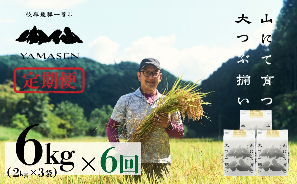 
                   令和7年産米【定期便】山仙（いのちの壱）【2kg×3袋（6kg）×6回】 すがたらいす 下呂市金山産 2025年産 毎月 6キロ×6カ月 お米 精米 下呂温泉 下呂市 米 ブランド米
                