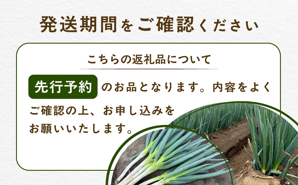 【先行予約】】【発送期間は12月～2月】地元の道の駅オライはすぬまで大人気の農家から直送! 山武市で限定栽培のミネラルが豊富で甘みたっぷりの「海水ネギ」７kg以上（泥ネギでドドンと配送）    SMC