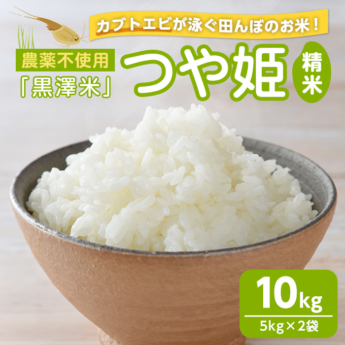 農薬不使用 つや姫 精米 10kg ＜カブトエビ田んぼで育てたお米＞ 黒澤米 宮城県登米市産 おこめ 米 コメ 白米 ご飯 ごはん おにぎり お弁当 【株式会社天体】tm449