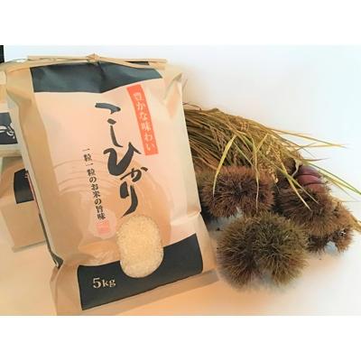 ふるさと納税 高島市 実生庵の近江米【四季風流】コシヒカリ 5kg×1袋 精米 MS83