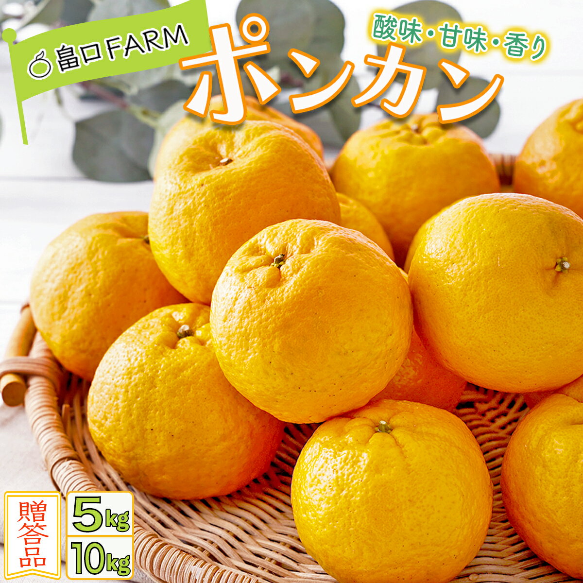 【ふるさと納税】＜選べる容量＞ ポンカン 贈答用 5kg/10kg 国産 東洋町産 オレンジ 果物 フルーツ 蜜柑 ミカン 甘い 酸味 ジューシー 果肉 高知県 四国 お取り寄せ 贈り物 ギフト 送料無料